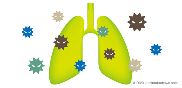 肺炎イラスト 横浜弘明寺呼吸器内科クリニック健康情報局
