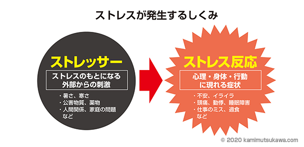 ストレスが喘息に及ぼす影響とは 横浜弘明寺呼吸器内科クリニック健康情報局